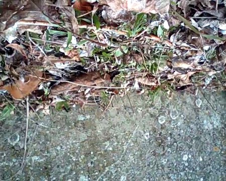 Présentation Du Premier Vol De Mon Drone!