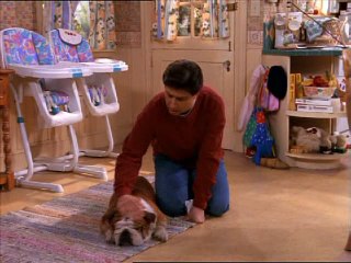 Szeretünk Raymond!  S01 19 Kutyavilág