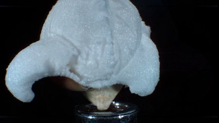 Ce slow motion, d'une explosion d'un popcorn est tellement captivant, regardez