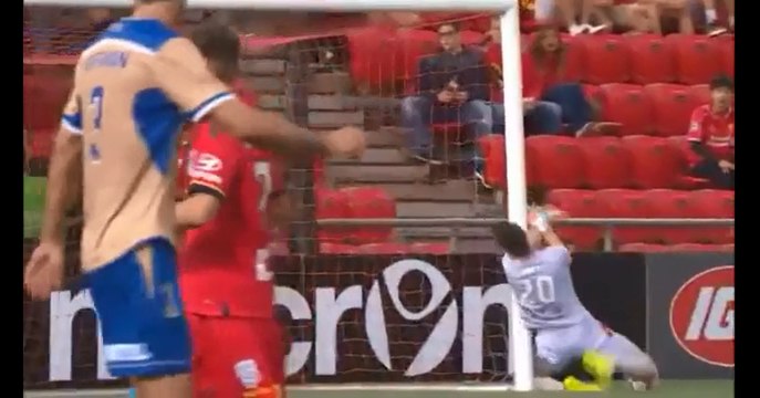 Un gardien Australien se prend son poteau en pleine tète.