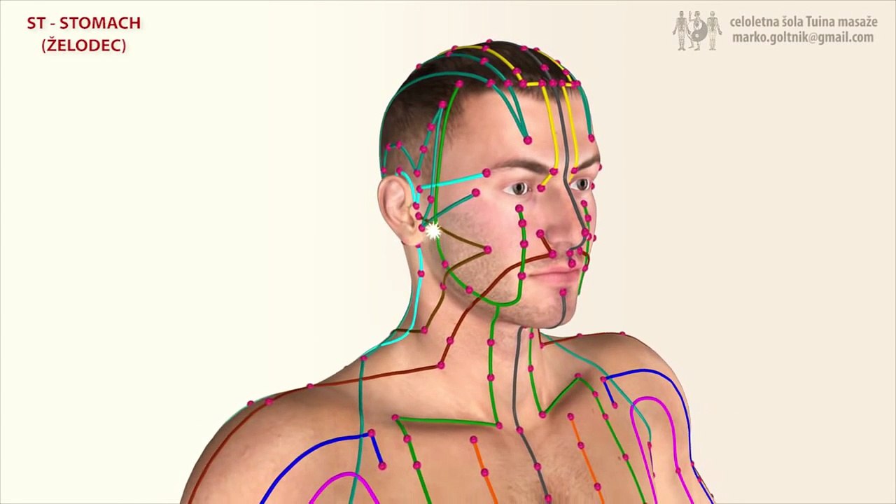ST | Stomach Meridian