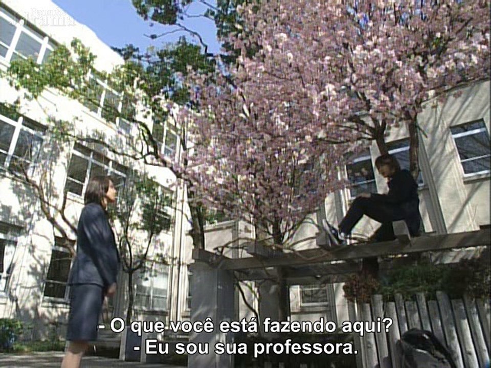 [JD]Majo_no_Jouken_01