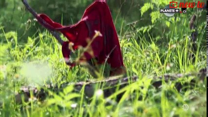 Bobby Joe LONG ►Le tueur en série de Tampa |inédit 2016| [SKC]