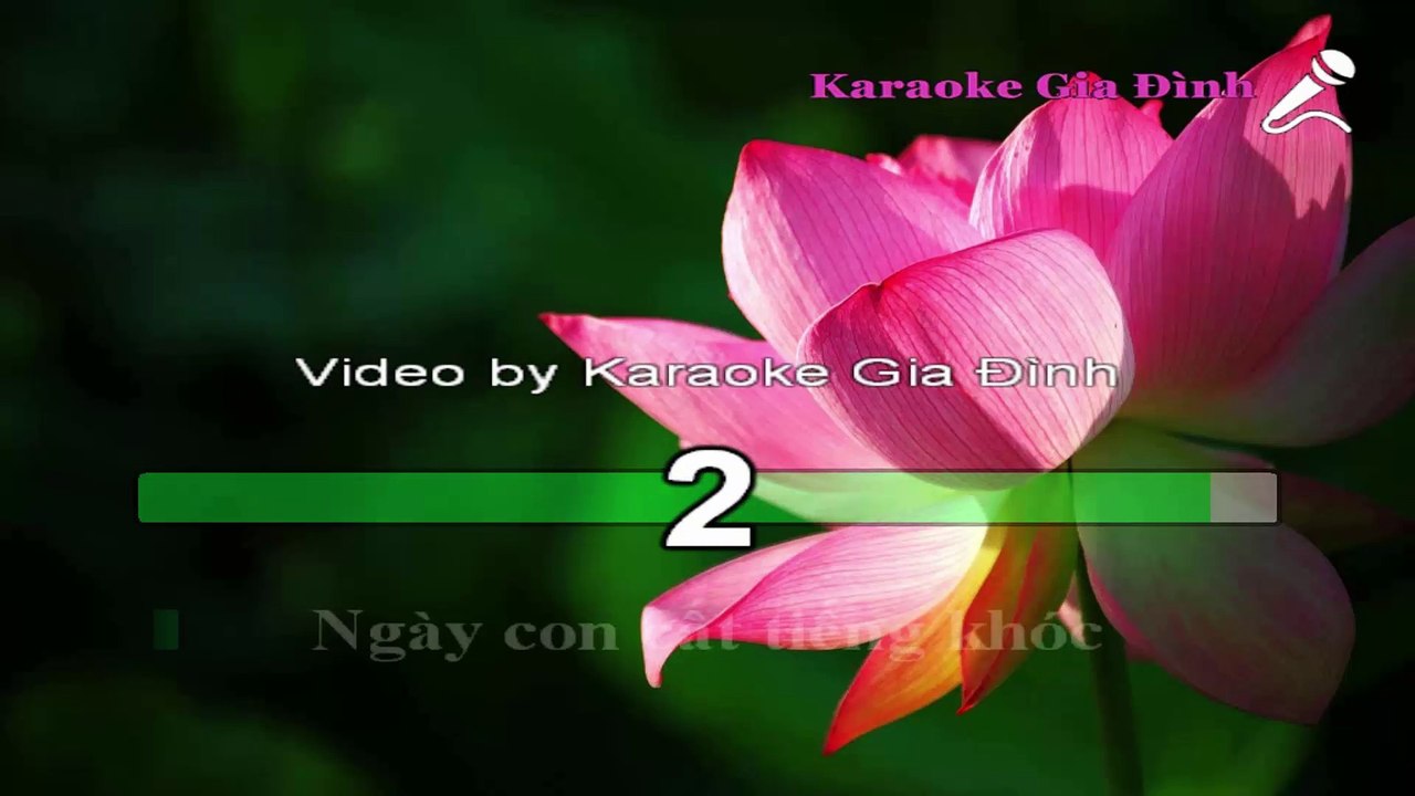 Nơi Ấy Con Tìm Về Karaoke - Beat Chuẩn (Hồ Quang Hiếu)