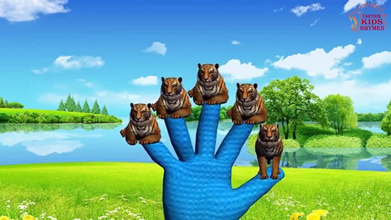 Finger Family Tiger-Animal Finger Family Tiger Cartoon Finger Family