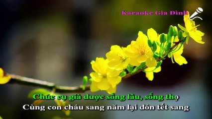 Ngày Xuân Long Phụng Sum Vầy Karaoke - Beat Chuẩn (Lam Trường)