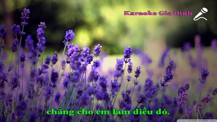 Quay Lại Karaoke - Beat Chuẩn (Trang Pháp)