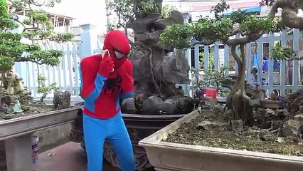 Frozen Elsa Horse racing vs Joker moto Spiderman in real life fun Superheroes pinks spider