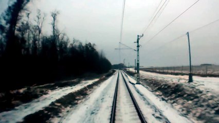 Un train croise un troupeau de biches