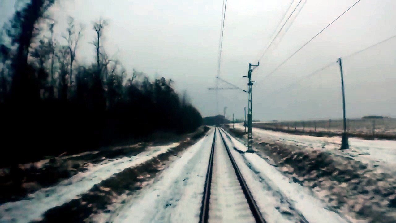 Un train croise un troupeau de biches