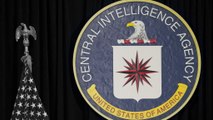 Why I left the CIA: 'There is a strong feeling of demoralization' under Trump