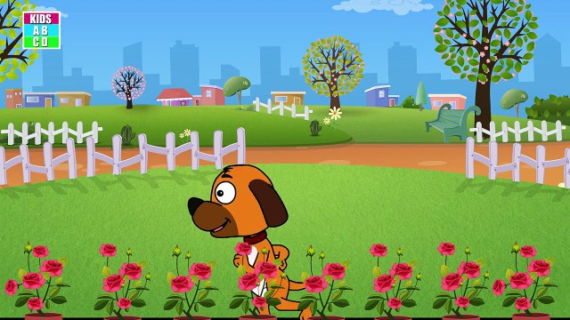 BINGO Dog Song - Nursery Rhyme With Lyrics - Cartoon Animation Rhymes & Songs for Children