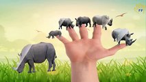 Wild Animal Sounds Finger Family | 3D Nursery Rhymes For Children | Nursery Rhymes Collect