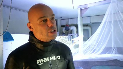 Paris, një natë me peshkaqenët në fund të detit