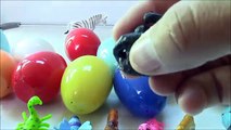 Open 20 Surprise Eggs | Unbox 20 Surprise Eggs With Lots Of Animals And Insects - SURPRISE EGGS