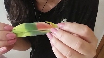 ASMR Português - Mouth Sounds + Câmera Brushing +Touching