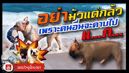 เชอบัว ยูโร มายา ตอนที่ 115  อย่ามัวแต่กลัว เพราะคนอื่นจะคาบไปกิน