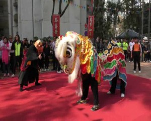 Download Video: Human Mobile Stage 113B. 2017 CNY Tuen Mun Kung Fu Show, Lion Dance Kung Fu