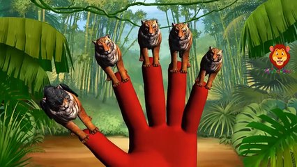 Wild Animals Finger Family Rhymes Song | Tiger Finger Family Songs For Children | Handplay