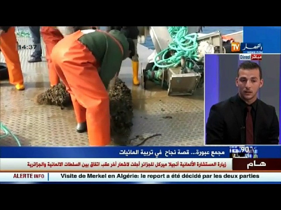 مجمع عبورة...قصة نجاح في تربية المائيات
