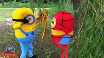 Finding Dory Kidnapped! Minions vs Spiderman - Finding Dory - Fun Superheroes by SHMIRL