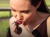 Angelina Jolie mange des araignées et des insectes avec ses enfants !