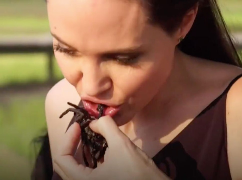 Angelina Jolie mange des araignées et des insectes avec ses enfants !