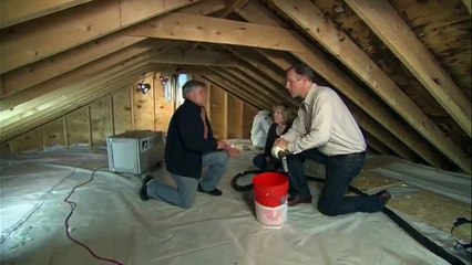 Mold Remediation Pros