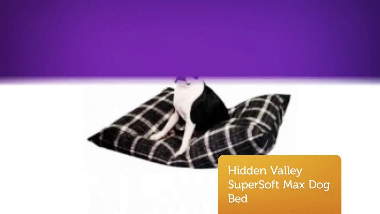 Shop Online Caddis Dog Beds : Precious Pets Paradise