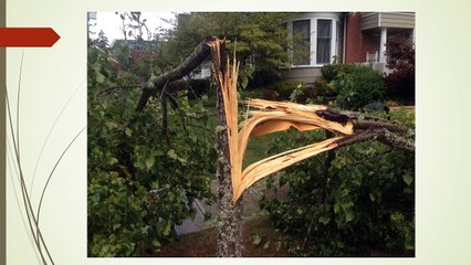 How to Stay Protected from Storm Damages?