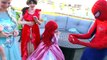 Frozen Elsa Arrested! Harley Quinn becomes hoverboard cop puts baby Elsa in Jail w/ Spider