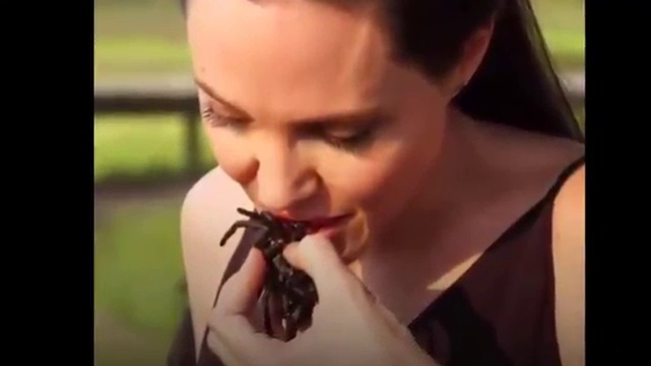Angelina Jolie- Cooking & Eating Spiders!