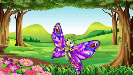 Dạy bé học con vật tiếng anh cực kì hiệu quả