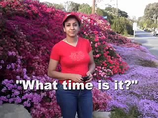 Questions in indirect speech