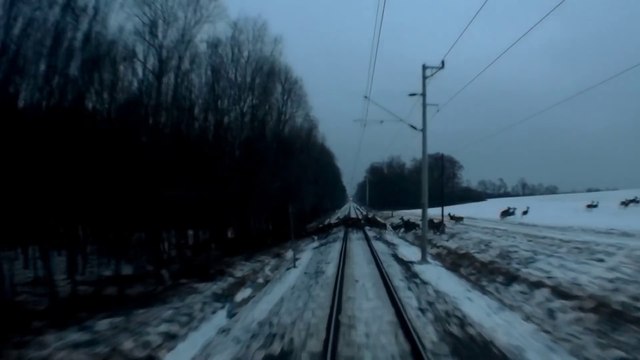 Ces biches ont eu très chaud aux fesses...