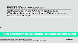 eBook Free Changing Workplace Relations in the Chinese Economy (Studies on the Chinese Economy)
