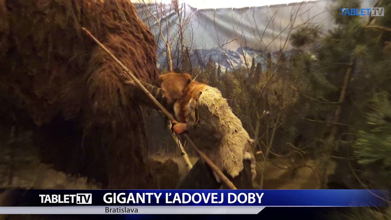 V Prírodovednom múzeu SNM možno spoznať obrovské zvieratá z ľadovej doby