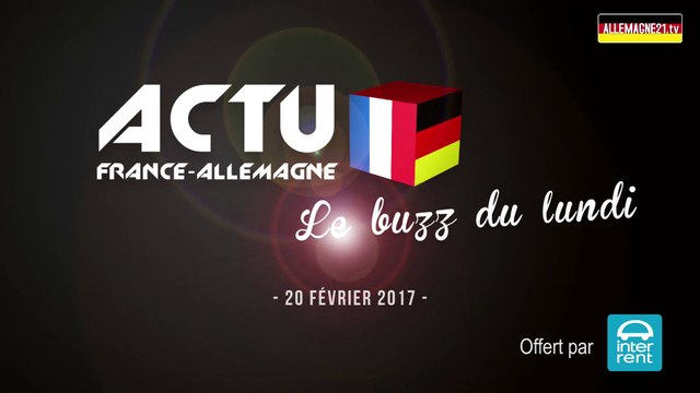 Un chaton avec les pattes en l'air