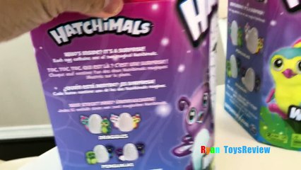 NEW HATCHIMALS MAGICAL SURPRISE EGG OPENING! Kids Toy Review | Toys AndMe