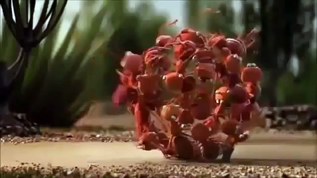 Phim hoạt hình 3D hài hước nhất thế giới