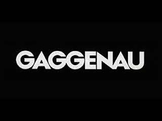 Pınartepe Gaggenau Servisi Bizimkent (2I2) 2O2 62 34 Büyükşehir Servis