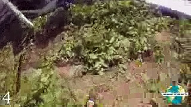 5 Horrifying Plane Crashes Caught On GoPro - YouTube