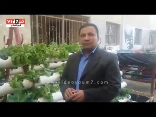 بالفيديو.. إزاى تستثمر سطح بيتك فى جمع الأموال؟.. تعرف على خطوات الزراعة بدون تربة لتوفير المياه.