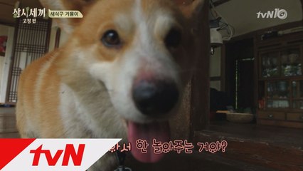 ′세젤귀′ 겨울이, 세끼하우스 입성!