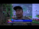 BKSDA Banten Lepas Ratusan Burung Asal Sumatera ke Alam Bebas -NET12