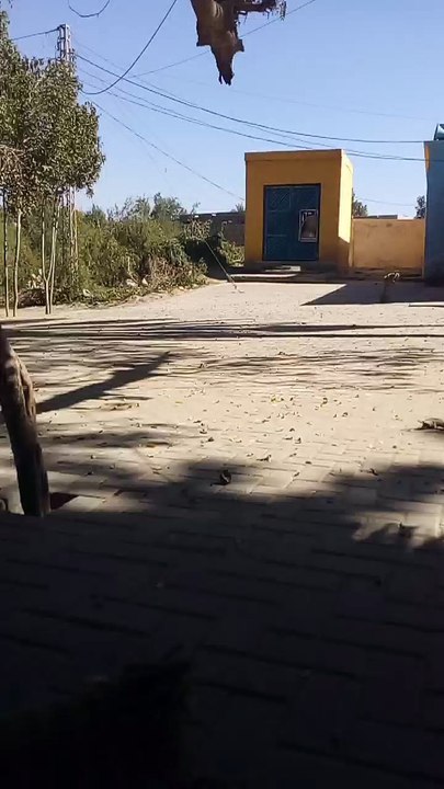 Chhuretani Imam Bargha