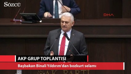 Başbakan Yıldırım'dan Bozkurt selamı