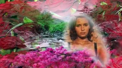 Willy Sommers -- 7 Anjers 7 Rozen.-8l-OQFLYrQU-HQ