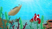 Kırmızı Balık - Çocuk Şarkısı - Edis ile Feris Çizgi Film Çocuk Şarkıları Videoları