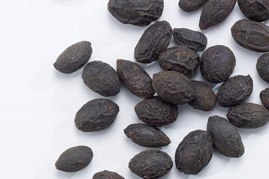 Saw Palmetto and the Prostate